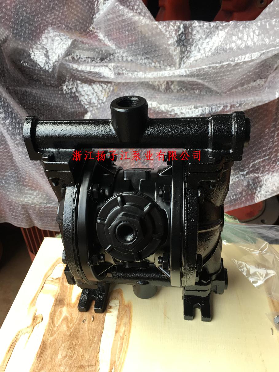 QBY鑄鐵氣動隔膜泵